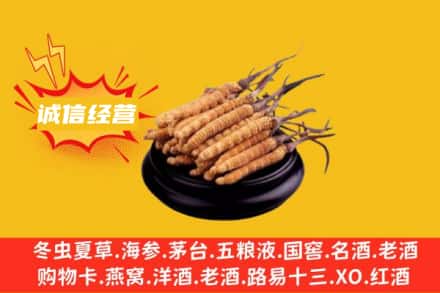 双鸭山回收冬虫夏草